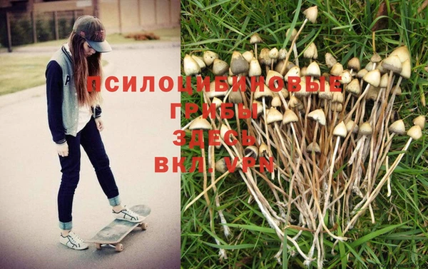 кристаллы Зерноград